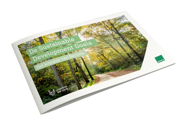SDG mockup