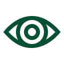 Eye visible Icon